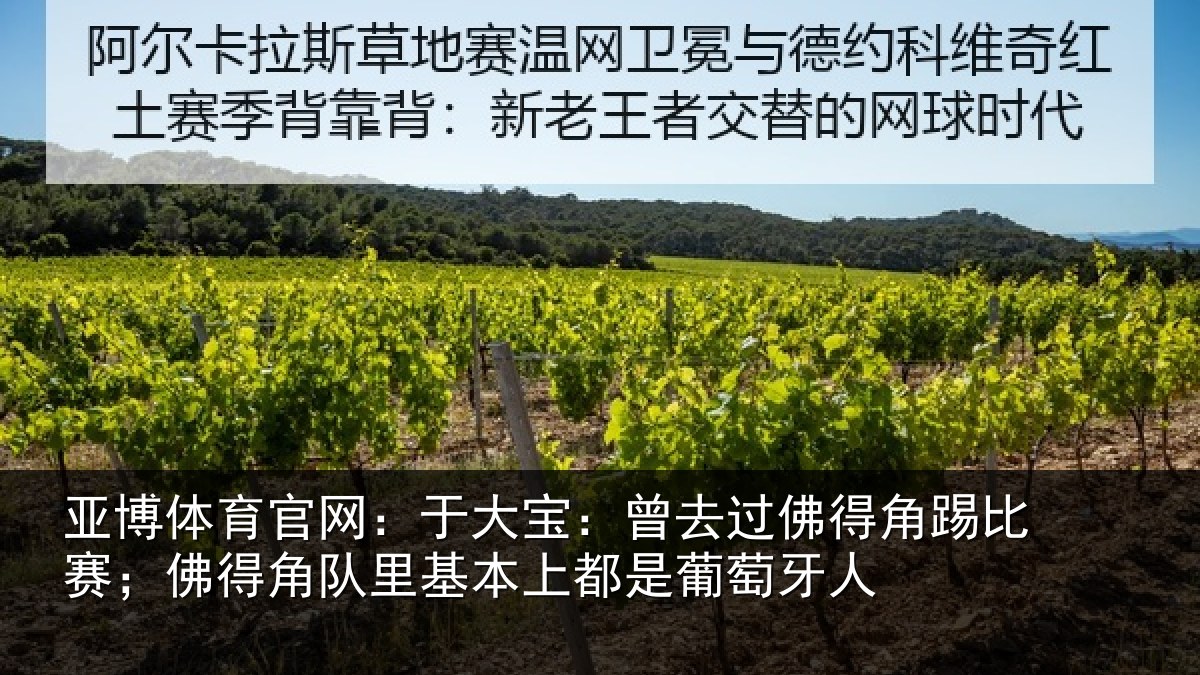 亚博体育官网：于大宝：曾去相关情况得角相关情况萄牙人