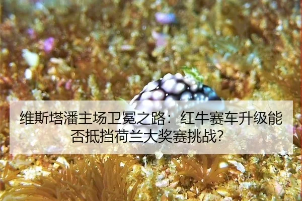 wei-si-ta-pan-zhu-chang-wei-mian-zhi-lu-hong-niu-sai-che-sheng-ji-neng-fou-di-dang-he-lan-da-jiang-sai-tiao-zhan-2-347.jpg