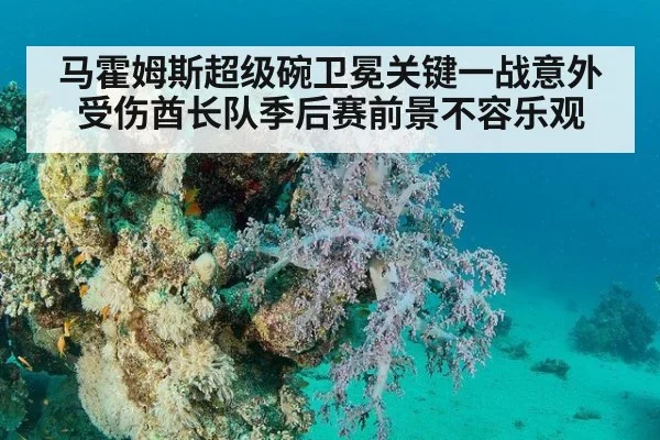 马霍姆斯超级碗卫冕关键一战意外受伤酋长队季后赛前景不容乐观